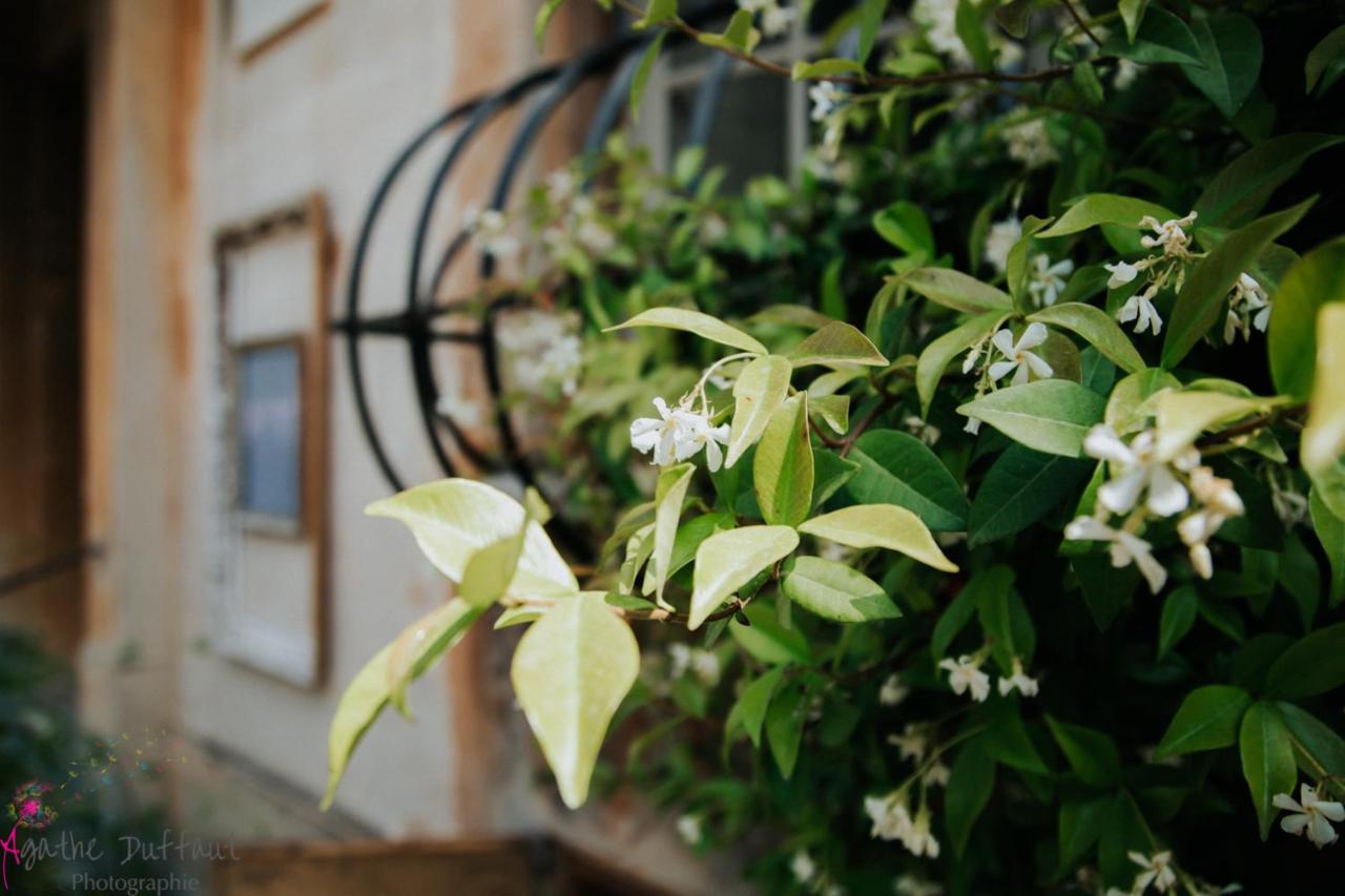 Hotel Particulier Des Jasmins Le Bar-sur-Loup Exterior photo